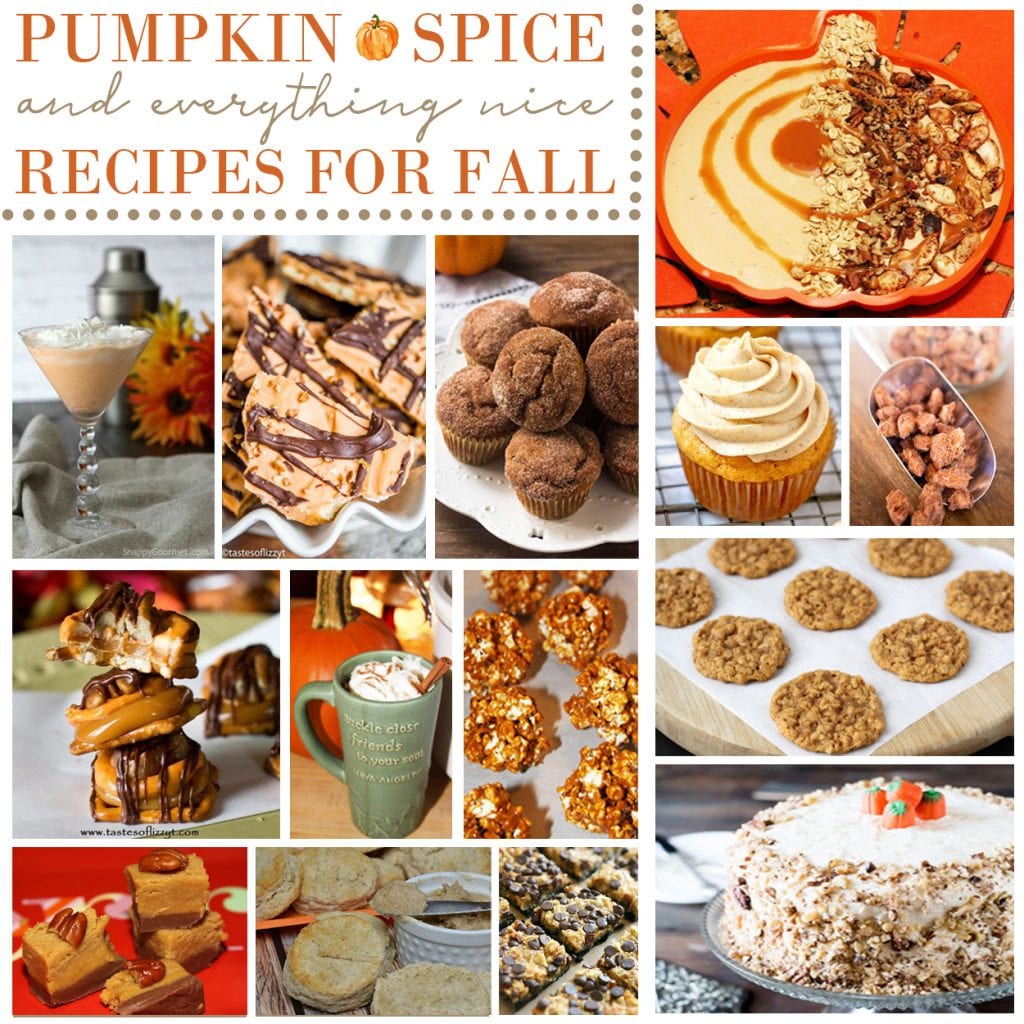 Pumpkin Spice and Everything Nice Recipes For Fall - For the Love of Food
