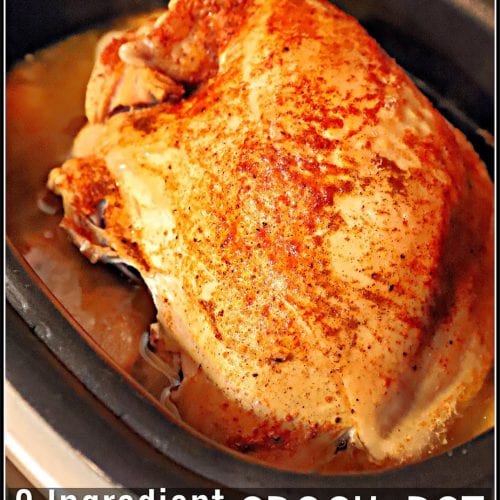 3 Ingredient Crock-Pot Roasted Turkey - For the Love of Food