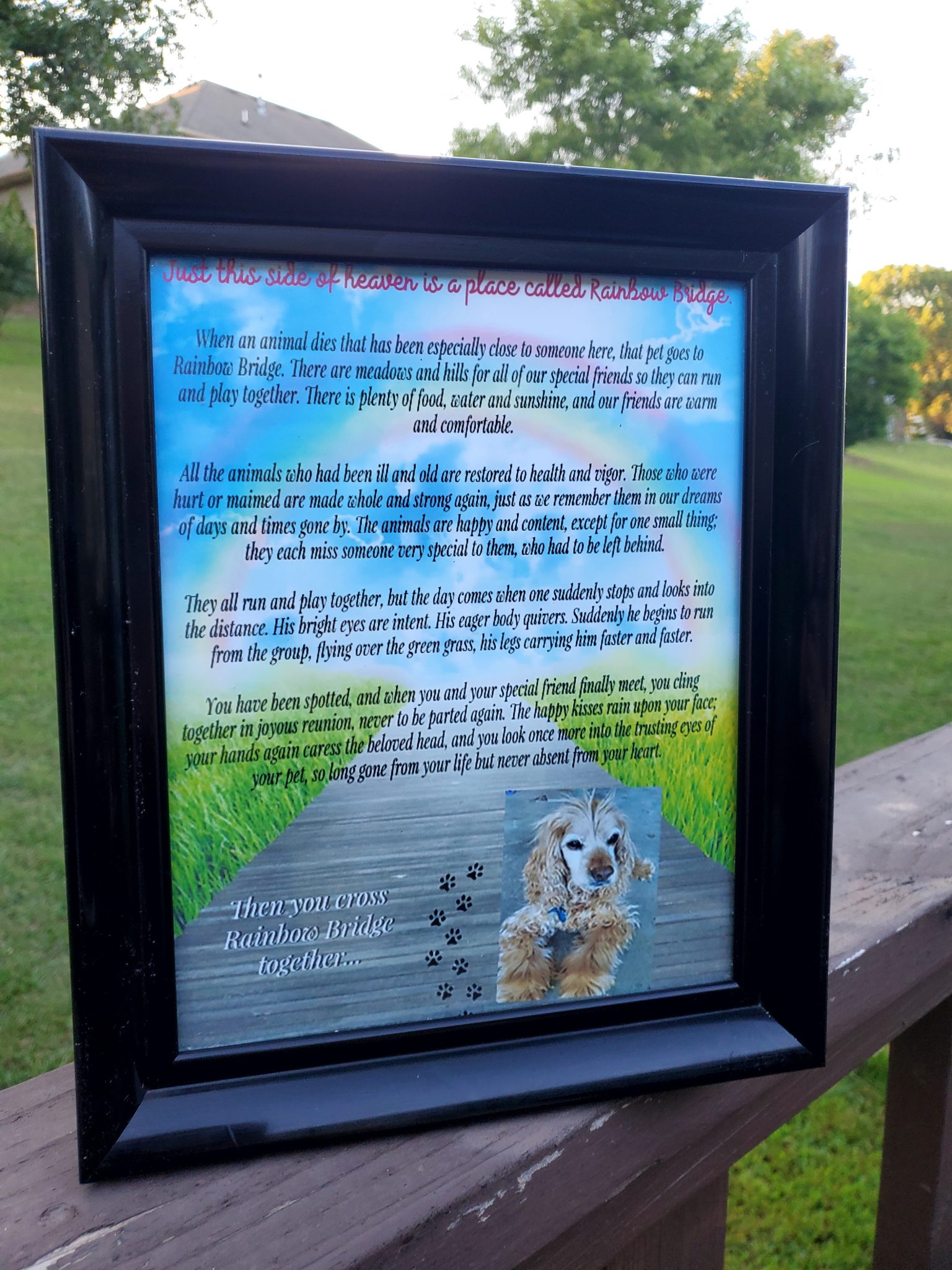 Printable Rainbow Bridge Memorial Pet Poem For the Love of Food