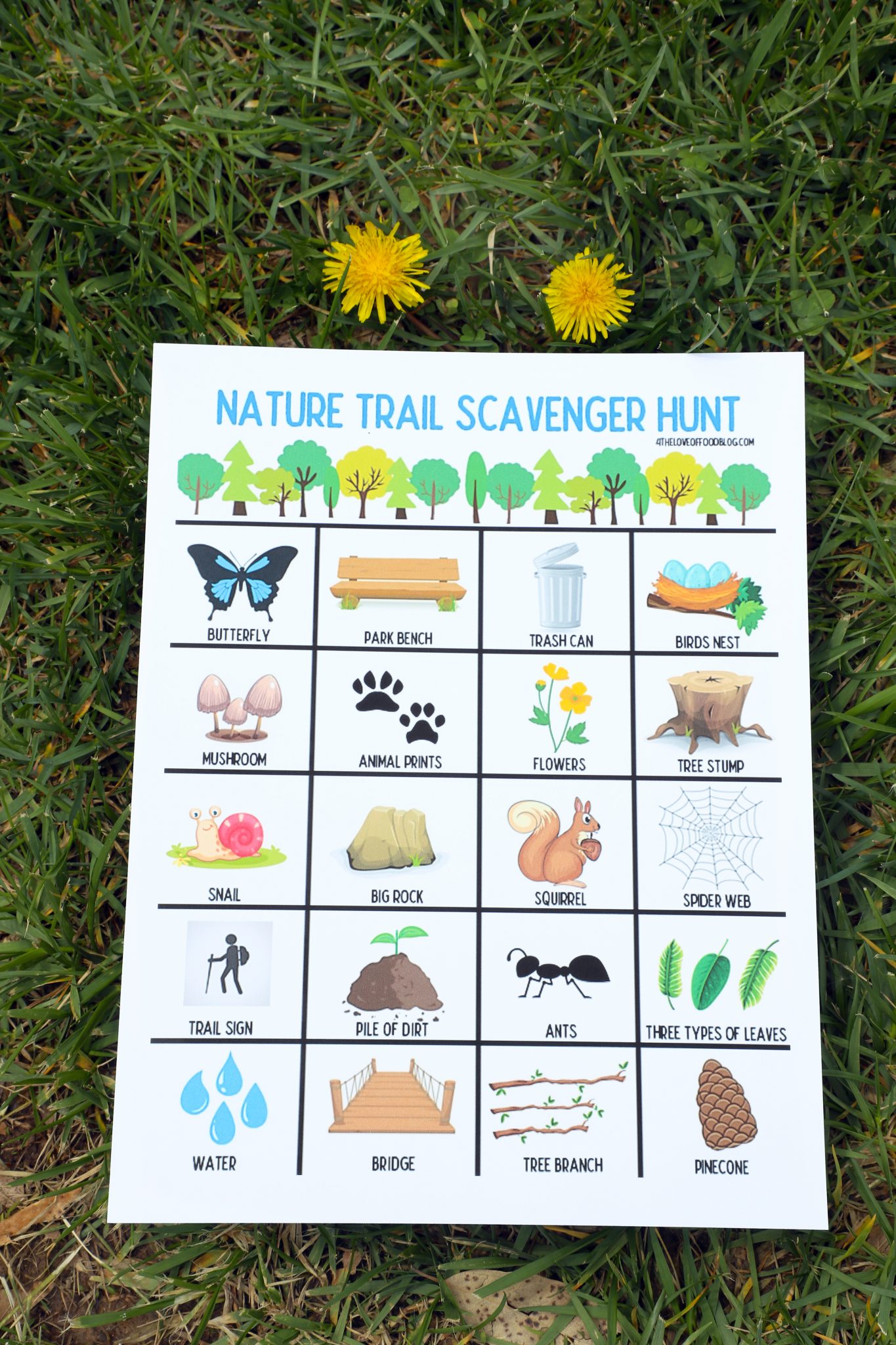 Springtime Nature Trail Scavenger Hunt | Exploring State Parks with ...