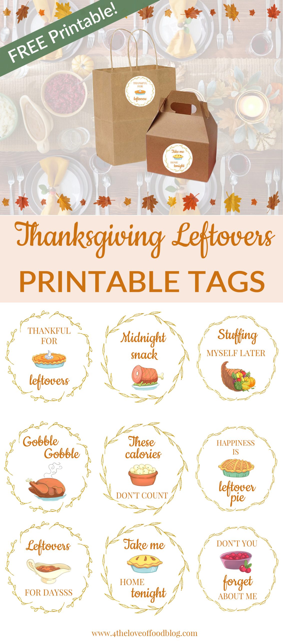 Thanksgiving Leftovers Kit + Free Printables :: New to the Shop