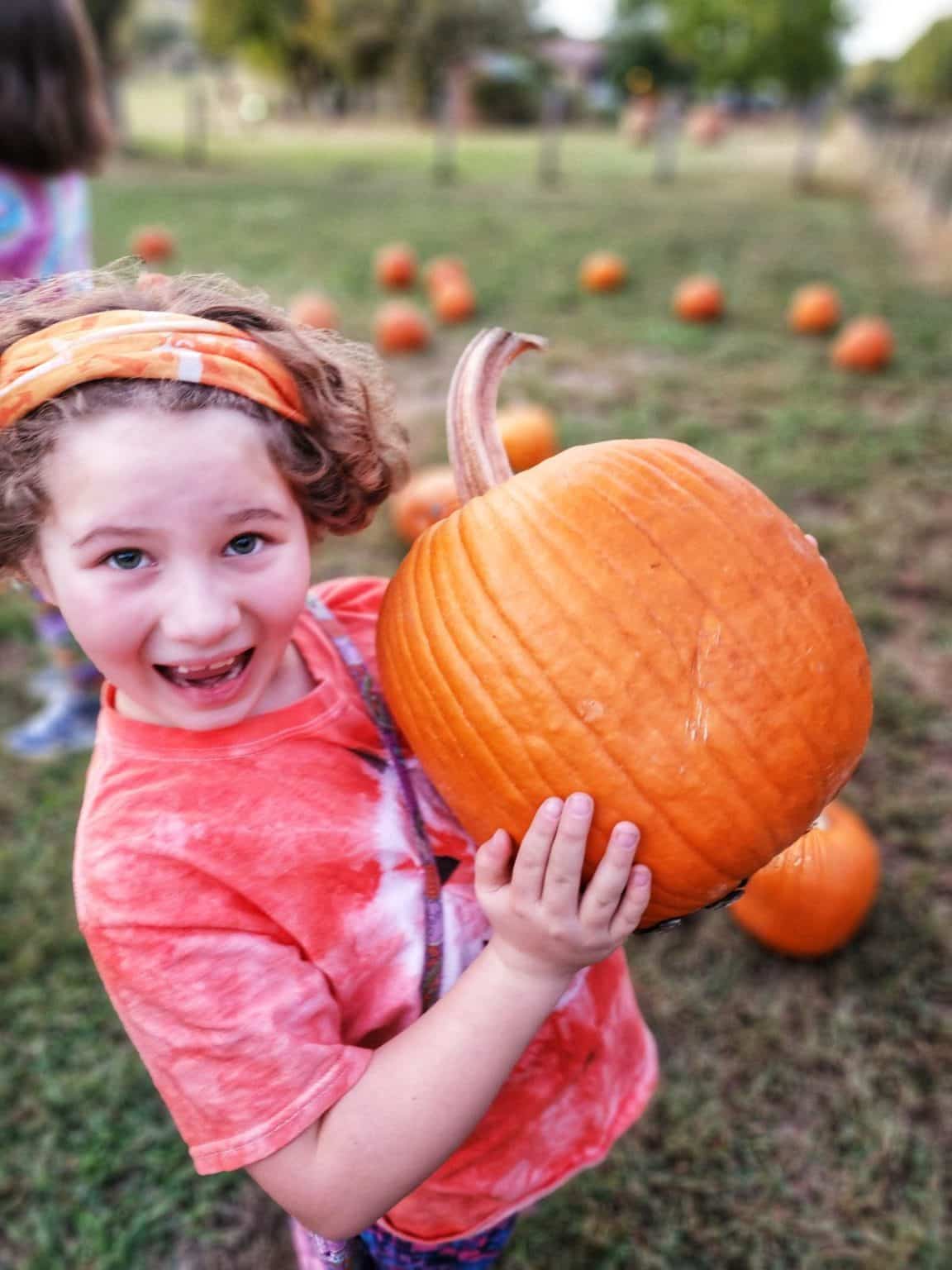 Fall Pumpkin Patch Scavenger Hunt - Free Printable! - For the Love of Food